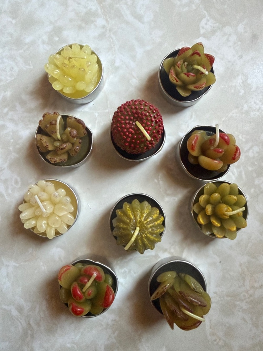 Assorted Ten-Pack Succulent Tea Light Candles In Aluminum Tin Base NEW